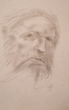 'Copy from Annigoni', pencil on paper, 21 x 29 cm., 2016