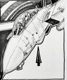 Tomcat, pen on canvasboard, 18 x 24 cm, 2022