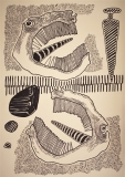 Two of the same root, marker on canvas, 50 x 70 cm., 2017