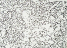 'Origene', penna su carta, 21 x 30 cm., 2005