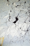 'Senza titolo', penna e catrame su tela, 170 x 110 cm., 2007
